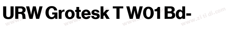 URW Grotesk T W01 Bd字体转换
